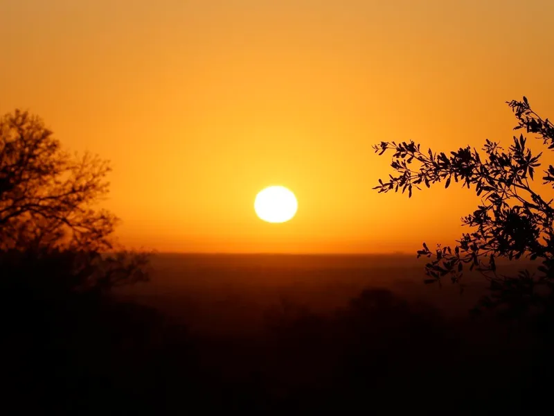 Early morning guided game drive
