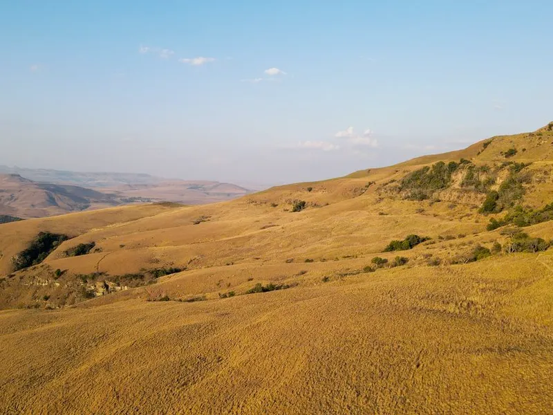 Aerial view of landscape