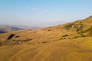 Aerial view of landscape