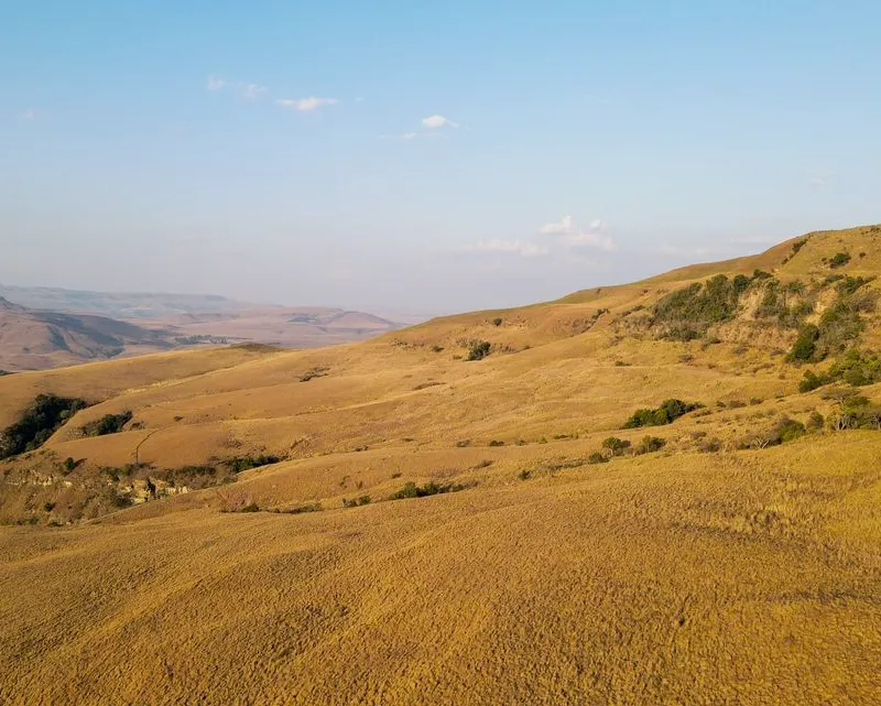 Drone Photography