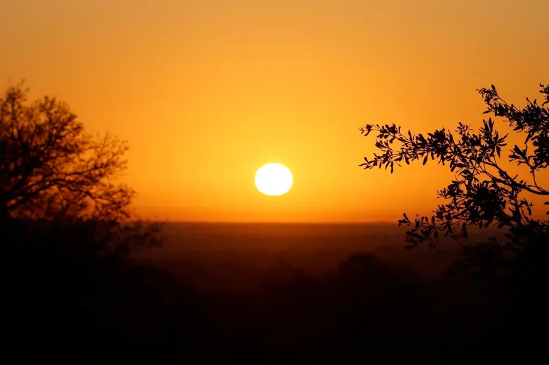 Early morning guided game drive