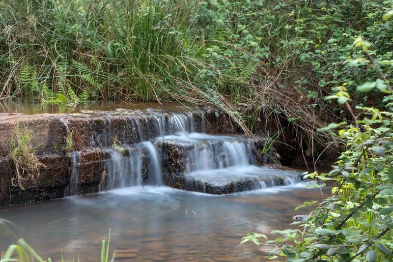 Water flowing over rocks